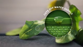 Creative: 56a7615c0c1b1ac21fbf7591ec2421ad