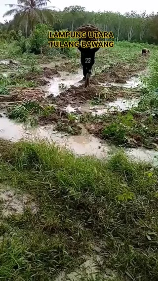 Creative: 570bd20d66ff3efe4bd80152530a5179