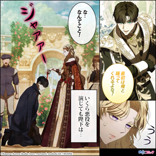 Creative: 576c31dd89032dd9c162cf4a446696d8