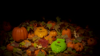 Creative: 5823f66a5b0a8588a2b6656e784feb43