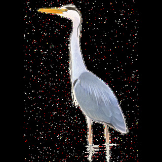 58442d914bf108f11e057776be542318