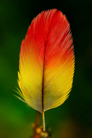 Creative: 594835fde3c2c67eafbec37250eb9e2b