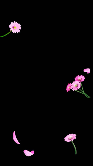 59a1f4272908cf0454d4d632fdf3e392