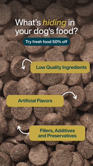 Creative: 5a059fd3bf706b0257dd71b5978d35df