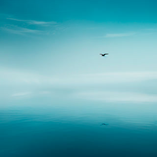 5a6b2603c1e79ebc71a5140940ba4946