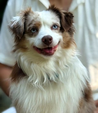 5a78fa0cc701513420d6f9beca6f38ed