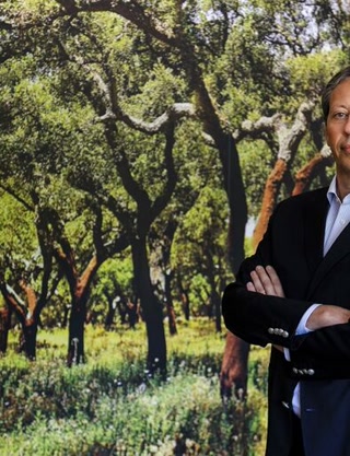 Creative: 5adf866efa2669a6001a8409ca3ac884