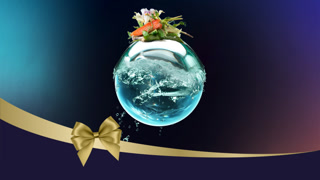 5af0de9e85b6f8bb33b64330d3f790d5