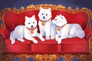 5b0836018f8d66b707ca08c87907658c