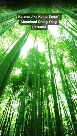 Creative: 5c18254c1b1f931a8acdaa11382d4454