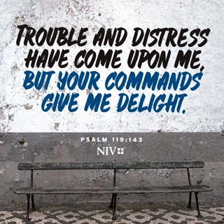 5c3a6495f16f7076f5860db4ca4762fd