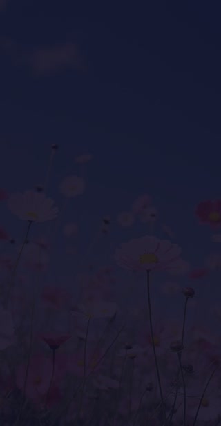 5c643f7d76159047e1b17cf1556f5f9d