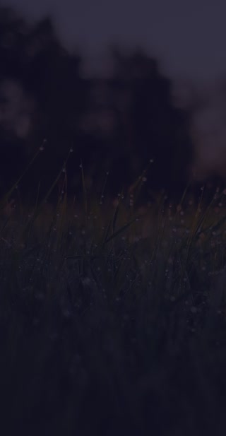 5c7751d3262402265ae971cfbfb814b4