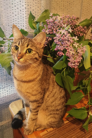 Creative: 5c91610de2d160397b80bf1724d691ab