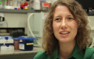 Creative: 5d11bb92bb0615526655f65375869d29