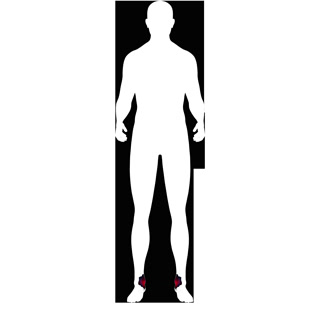 Creative: 5e0365502e85f3bb432bbe0a8c380569