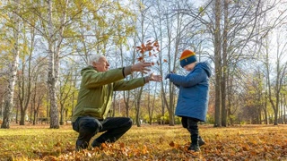 Creative: 6059640a149c15a3eac402503d7a0bfe