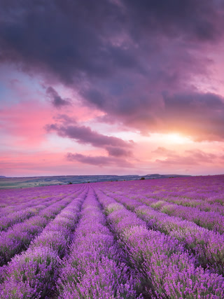 Creative: 60dcf80fab69033d9f406558e83acd50