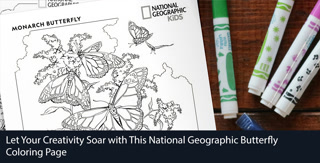 615017f02c9e64cf9bc5673b66cfddf2