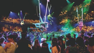 Creative: 6158a8773195162b99c84b26f9b8bfa5