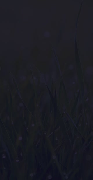 630026addbd37f822a5605c81f9c31cf