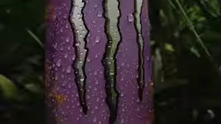 Creative: 634fbeaee3b8d7e330aa91b668c37427