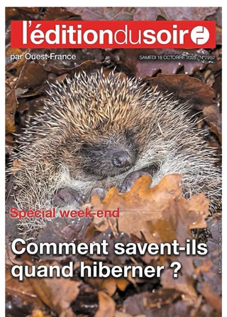 Creative: 63f45d9848e003c75facb515caee774e