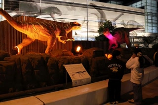 6440422e809e97da54b9688ce492a01f