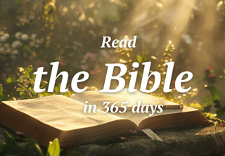 Creative: 649503c3d5e987d82ed2df65e8fff8b1