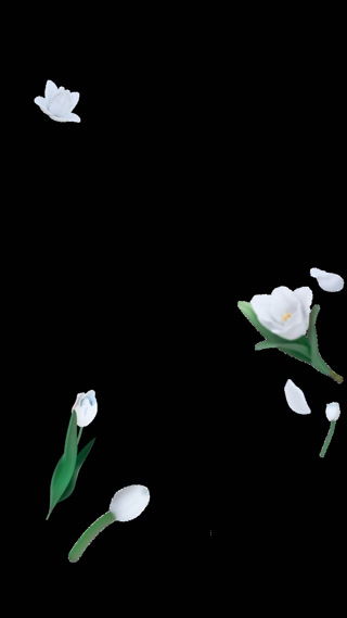 65cf377d9dbc9f91ab2221d321aafb0f