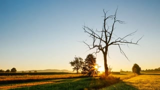 Creative: 66174e116fc8073ac29714916ea17d91