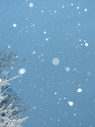 Creative: 66d13045cf1fcc73a16834da90287755