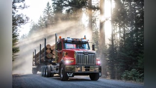 685e3348f939a7bd7a33249529799911