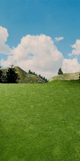 Creative: 6894d09fd27011773b08391a9af785ce