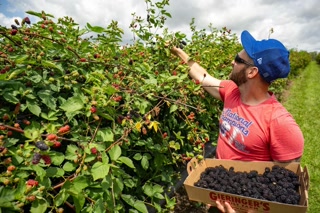 Creative: 68ca4c2b8f45d78c1766990550971b9e