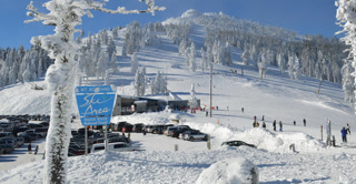 68daea21244b9ab2aadb3033cd24ae9c