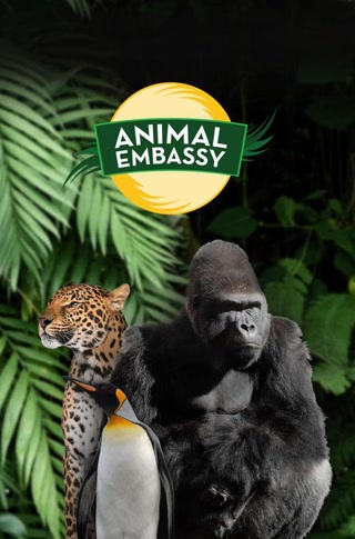 Creative: 69630d2ba096043e436156551a3e864f