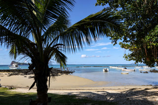 Creative: 69ec59584d9384391d7bcfadfd2a1a37