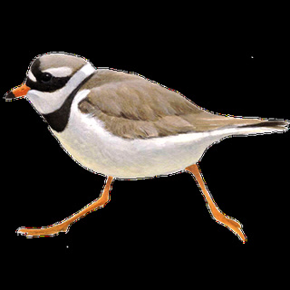 6a578fcf7ad6cac489df6ce32698a020