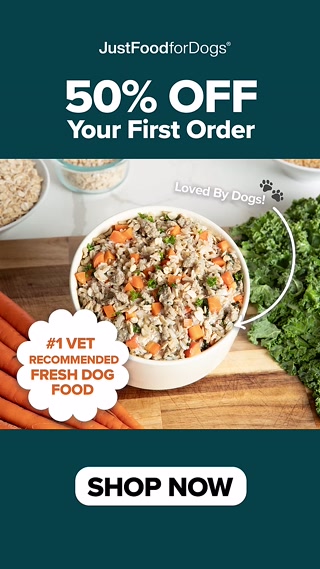 Creative: 6b4f73589229149dd3f4531aa80b0ba0