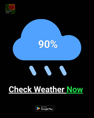 Creative thumbnail for 6ba8ac55f96de05e5ccd3727f43ff38a