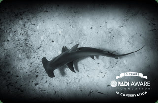 6d19c5cd511add4768d9436557ae6adb