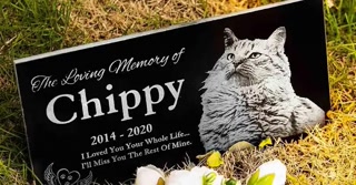 Creative thumbnail for 6e23b0f2ca404b3d21da56e6793888b7