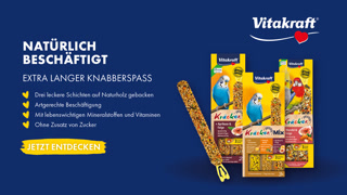 6f36600ff115a6ea4cff8ccca80ea4a9