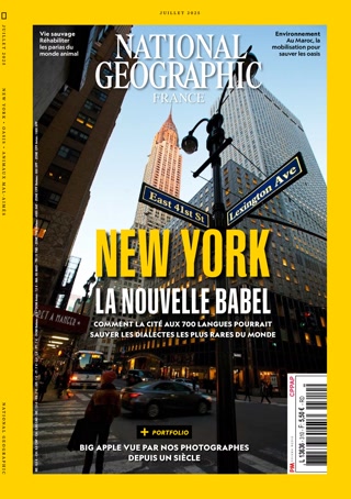 Creative: 722c4e9574c5976e75f32e019fdd0a7d