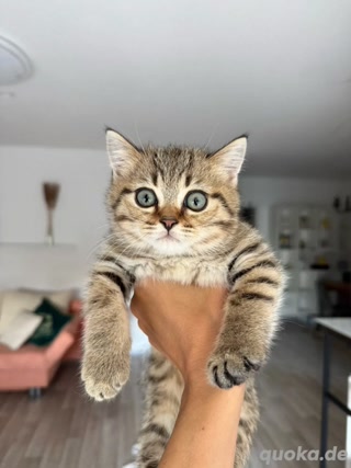 725d4d4a2699faa2edaf472ab0987949