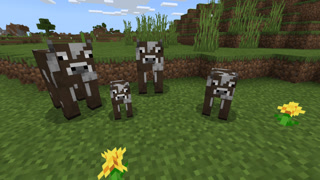 72f81c1b80238cc23c0363ddd967804a