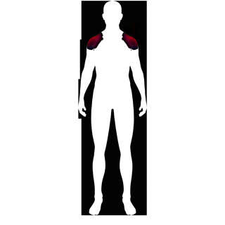 Creative: 73f2a5f87a4b35acddefb3c5c110334b