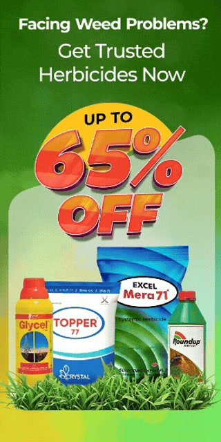 Creative: 74c9cca4541bb0914f79e19c932c9141