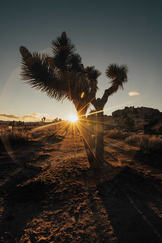 Creative: 74ee8aff26bac1e056f1431fd15522e2